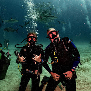 Meet your Posher, Tessa